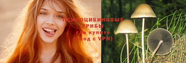 apvp Белокуриха