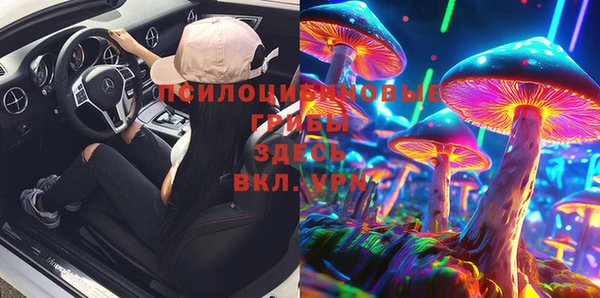 apvp Белокуриха
