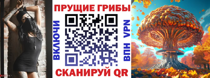 дарнет шоп  мориарти клад  Галлюциногенные грибы GOLDEN TEACHER  Ленинск 